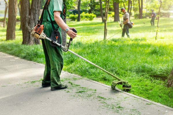 Landscape Restoration Service - Landscape Restoration Service Cape Coral, Florida