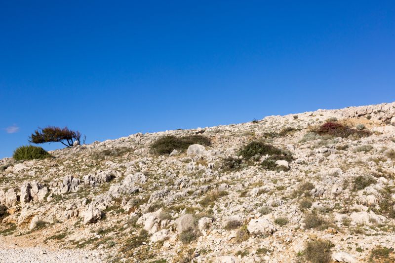 Landscape Rock Removal Cost — Cost of Landscape Rock Removal Service